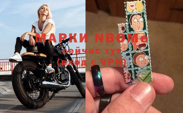 стафф Липки