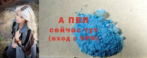 тгк Магас